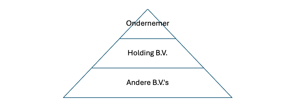 holdingstructuur